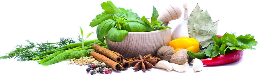 Naturopathic Physicians treat the body as a whole